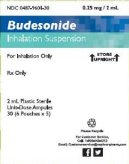 Picture of BUDESONIDE INH .25MG/2ML IS CL 30X2ML